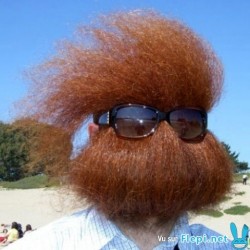 barbe-rousse
